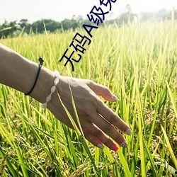 三级成人a视频 三级成人a视频